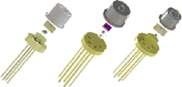 svr_c3img3