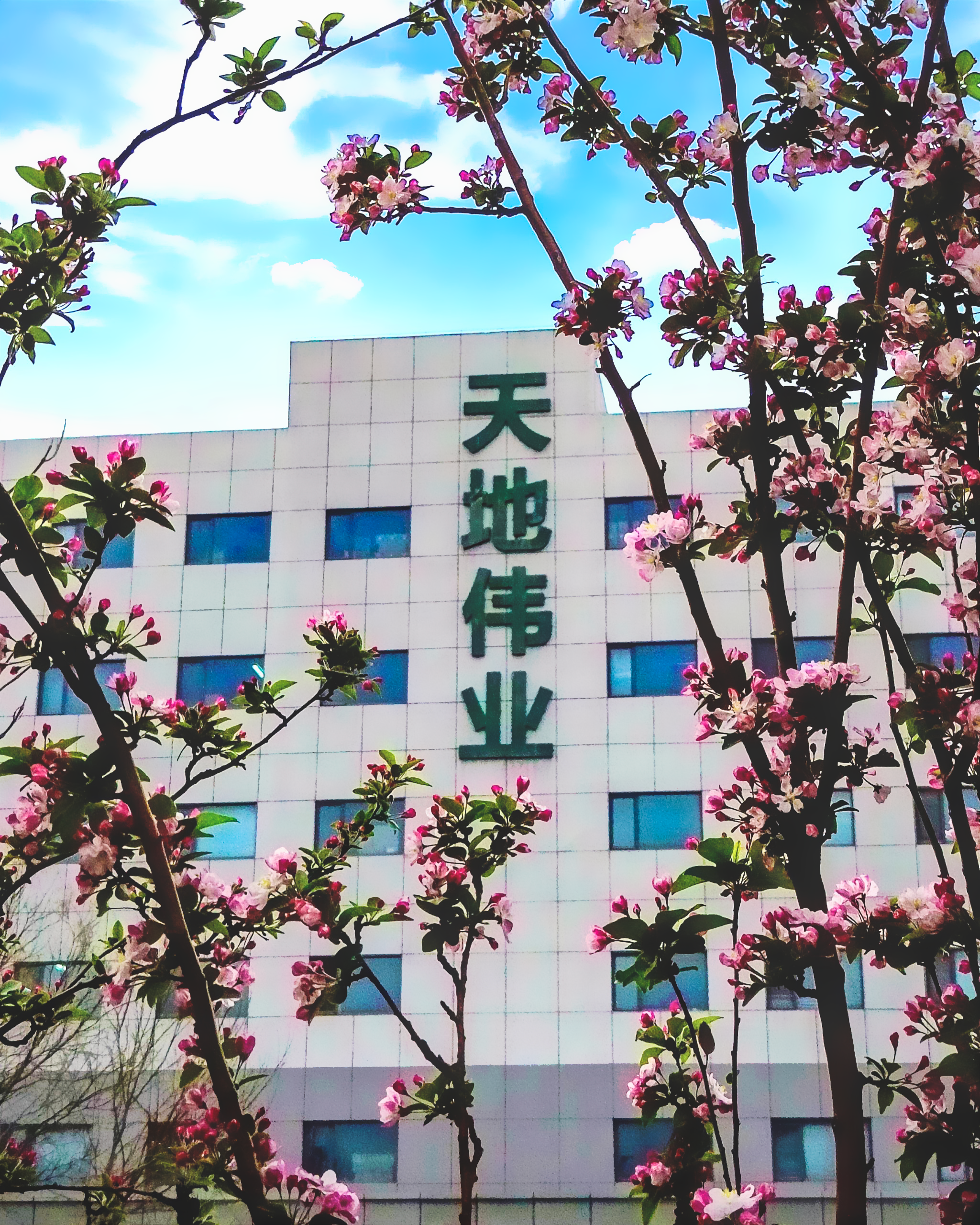 尊龙凯时·(中国区)人生就是搏!